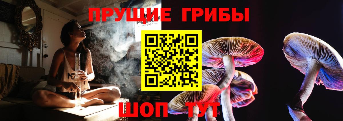 Лыткарино  Галлюциногенные грибы ЛСД  Вход с VPN  Галлюциногенные грибы Magic Shrooms 